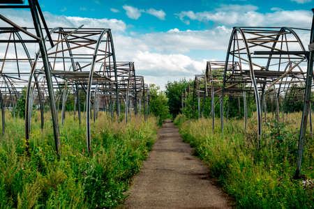 ruins of the greenhouse complex among thickets, crisis of agricultural productionの写真素材