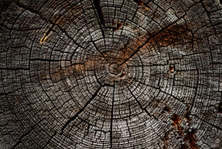 butt end of an old log in a wooden building structureの写真素材