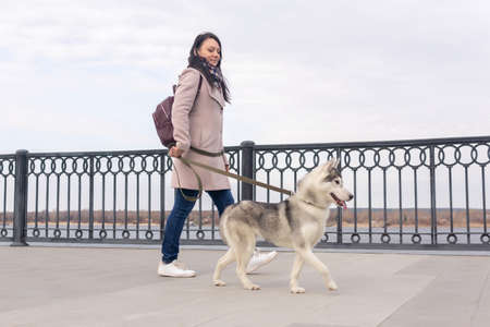 young woman with her husky dog walking along the embankment on an autumn dayの写真素材