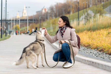 young woman training her husky dog in autumn city parkの写真素材