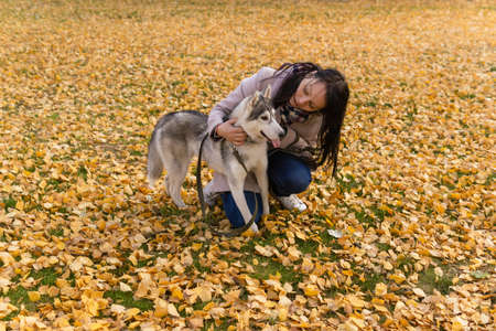 young woman communicates with her dog among the autumn foliage in the parkの写真素材