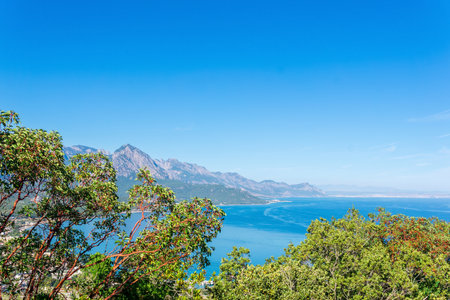 sea bay with a distant mountainous coast, a view of mount Tahtali (Lycian ) through tropical vegetation on the coast of Antalya, Turkeyの写真素材