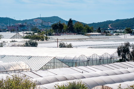 landscape of Demre town in southern Turkey with roofs of agricultural greenhousesの写真素材