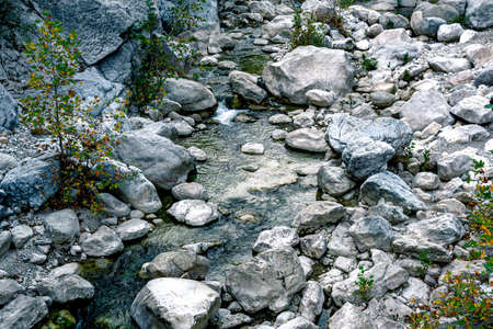 wooded mountain canyon with a clear blue stream in a rocky bed, top view