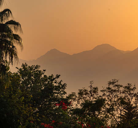 twilight tropical landscape - plant silhouettes and misty mountains during sunsetの写真素材