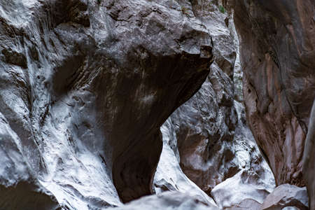 landscape at the bottom of a mysterious narrow rocky canyon