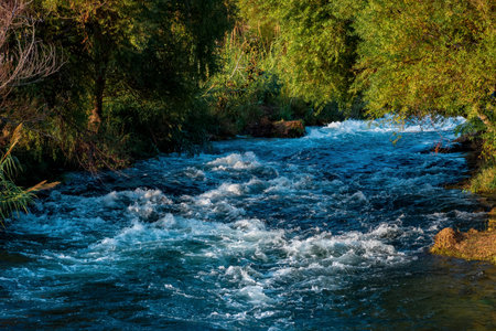 fast mountain river flows among the wooded banks.の写真素材