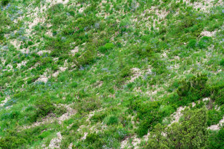 partially blurred landscape with spring grassland on the mountain slopeの写真素材
