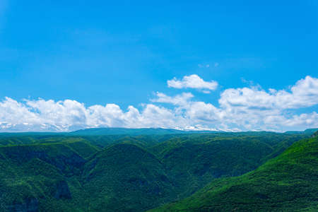 beautiful wooded alpine landscape with snow covered mountain range in the horizonの写真素材