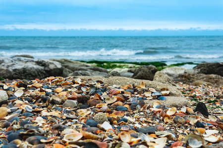 coast of the Caspian Sea with a beach of colorful sea shells in the foregroundの写真素材
