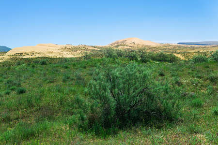 semi-desert, dry steppe landscape in the vicinity of the Sarykum sand duneの写真素材