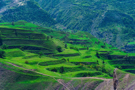 mountain landscape with green agricultural terraces on the slopes