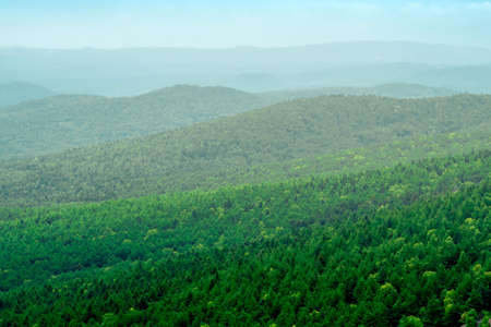 aerial view of wild woodland on a cloudy day