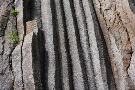 surface of a rock wall formed by columnar basaltの写真素材