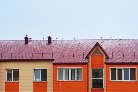 seagulls sit on the roof of a wooden houseの写真素材