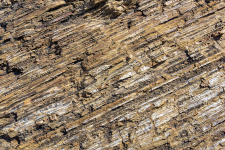 background, texture of layered brown rock