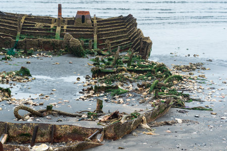 remains of a wrecked ship on a foggy seashore