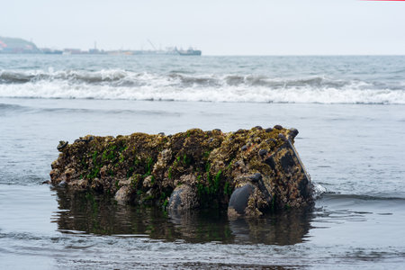 marine diesel engine washed ashore after a shipwreck, covered with biofoulingのeditorial素材