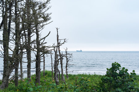 coastline on the Pacific coast, Kuril Islandsの写真素材