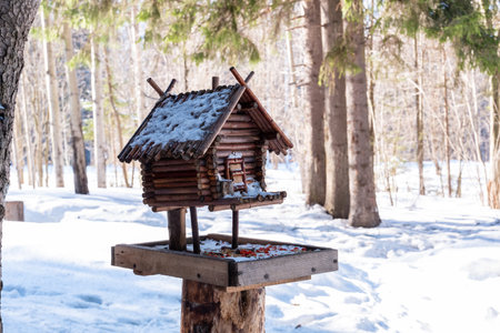 bird feeder in the form of a hut made of natural materials is installed in a winter snowy forestの写真素材