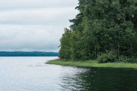 natural landscape, wooded shore of lake with reed banks on a cloudy dayの写真素材