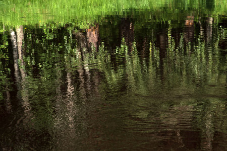 natural background, water landscape, shiny water surface with reflectionの写真素材