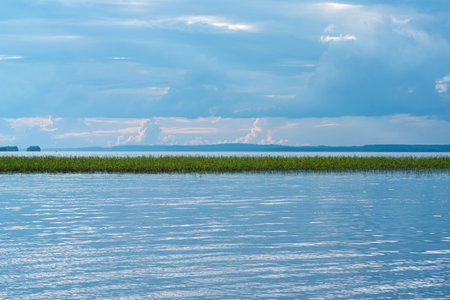 natural landscape, vast shallow lake with reed banks on a summer eveningの写真素材