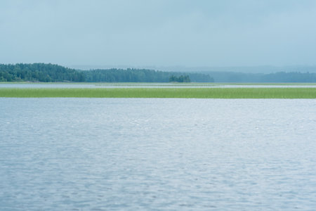 natural landscape, vast shallow lake with reed banks on a rainy dayの写真素材