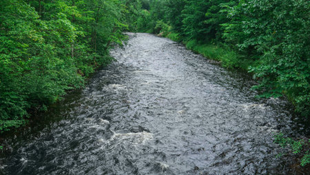 fast mountain river between wooded banksの写真素材