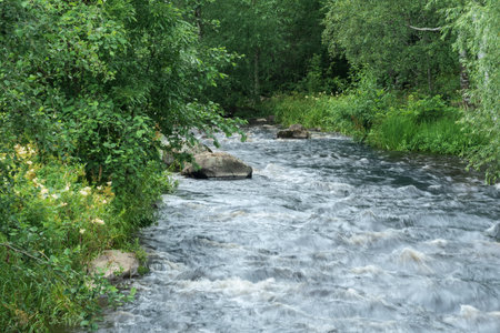 fast mountain river between wooded banksの写真素材