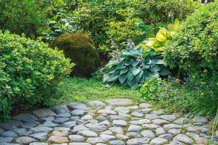 section of a Japanese garden, a fragment of a stone-paved path, plants and mossy rockの写真素材
