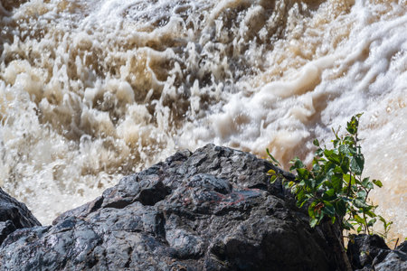 muddy turbulent stream under a rock during high water
