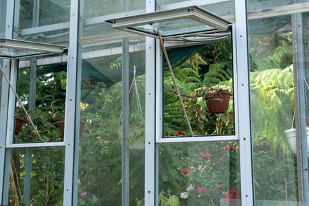 section of a glass wall of a tropical flower greenhouse with an open window, outside viewの写真素材
