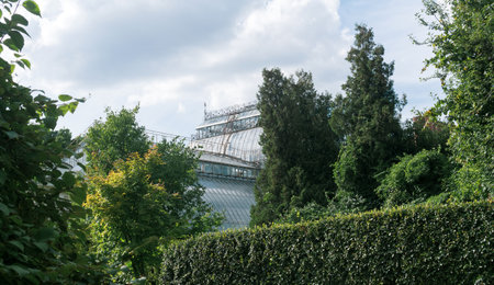 view of the dome of a large vintage palm greenhouse behind the trees in botanical gardenの写真素材