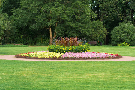 large flower bed in the middle of a lawn in a parkの写真素材