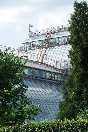 view of the dome of a large vintage palm greenhouse behind the treesの写真素材