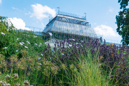 view of the Saint Petersburg Botanical Garden with flower beds and anÑient palm greenhouse in the backgroundの写真素材