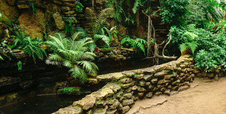reservoir for moisture-loving plants in a tropical greenhouseの写真素材
