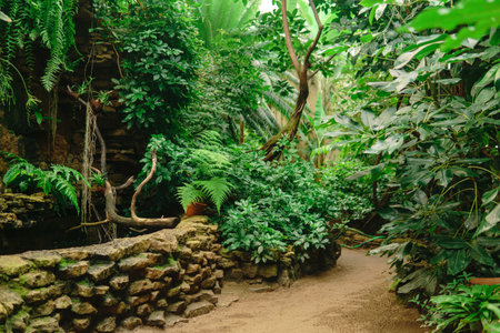 reservoir for moisture-loving plants in a tropical greenhouseの写真素材