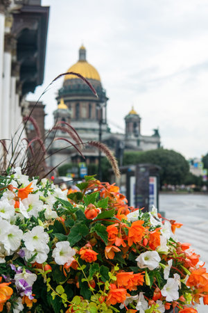 background with flowers in flowerpots outdoor close-up, landscape design elementの写真素材