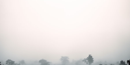 foggy morning in the pine forest, minimalist background with copy spaceの素材