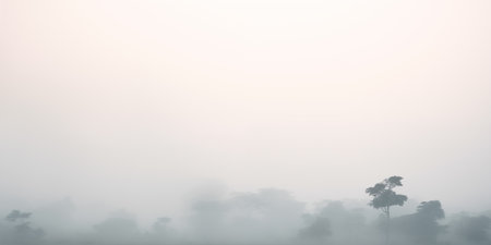 foggy morning in the pine forest, minimalist background with copyspaceの素材