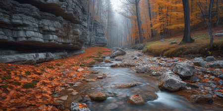 rocky canyon of a mountain stream in autumn forestの素材