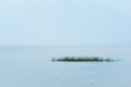 foggy seascape, natural background, view of the Gulf of Finland in rainy weatherの写真素材