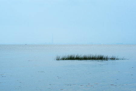 foggy seascape, natural background, view of the Gulf of Finland in rainy weatherの写真素材