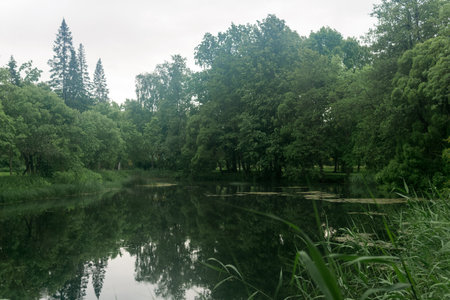 Lake in the park. Beautiful summer landscape with water and trees.の写真素材