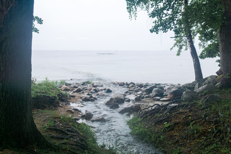 forest river flows into the sea in a foggy day in the summer.の写真素材