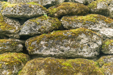 Stone wall covered with green moss and lichen. Natural background.の写真素材