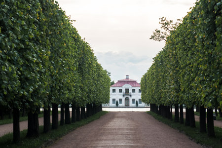 Saint Petersburg, Russia - June 06, 2024: alley overlooking the Marly Palace in Peterhof Parkのeditorial素材