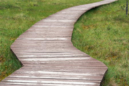 wooden walkway on educational nature trail in the protected peat fen landscapeの写真素材